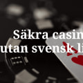 Non-Swedish Licensed Casinos and the Spelpaus Exclusion